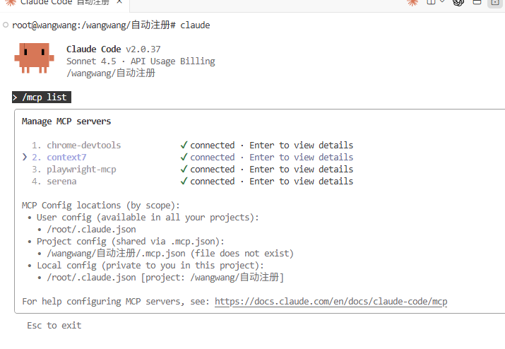 image-20251113173611205