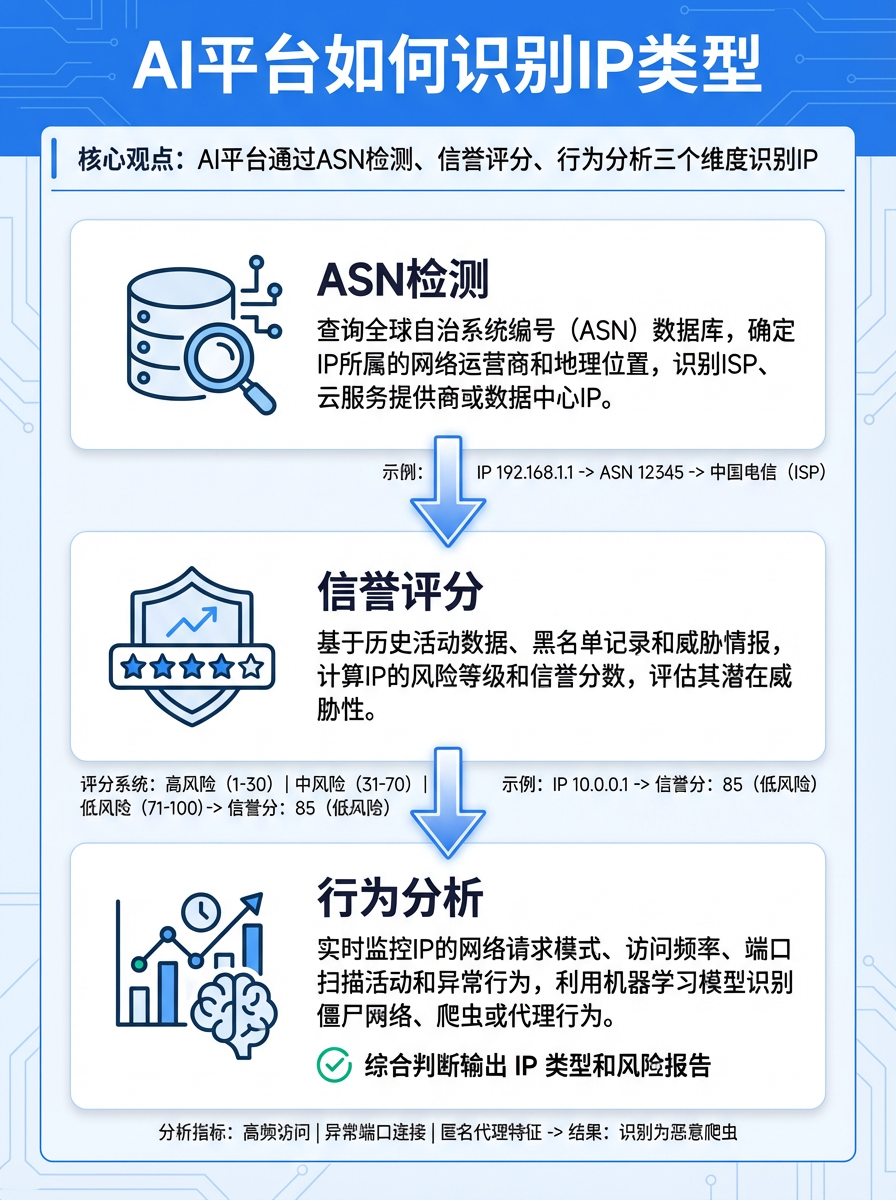 IP 类型识别流程