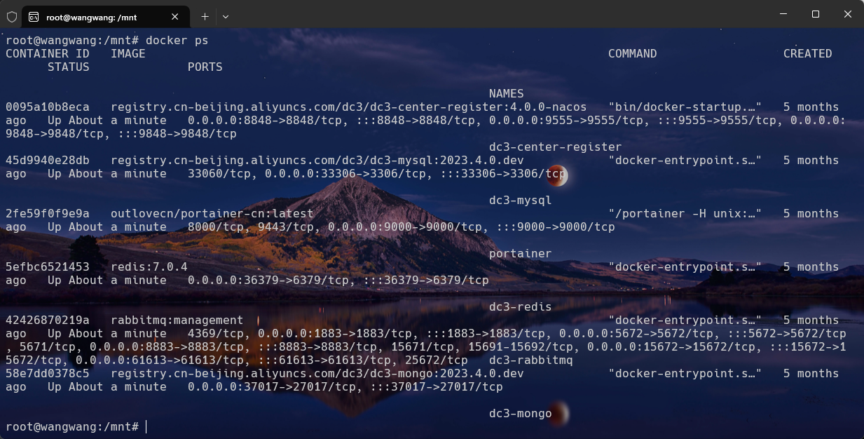 image-20240516201538852