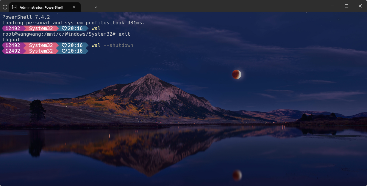 image-20240516201704684