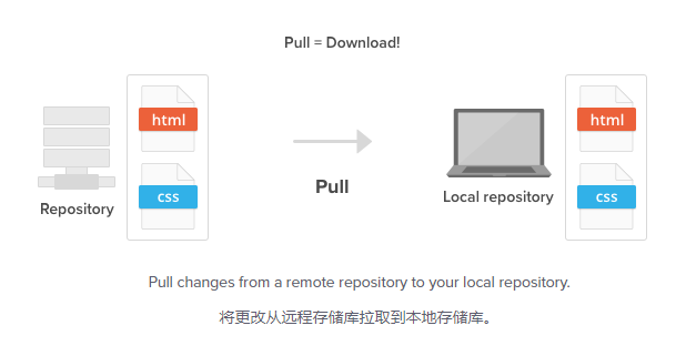 image-20230529104050805